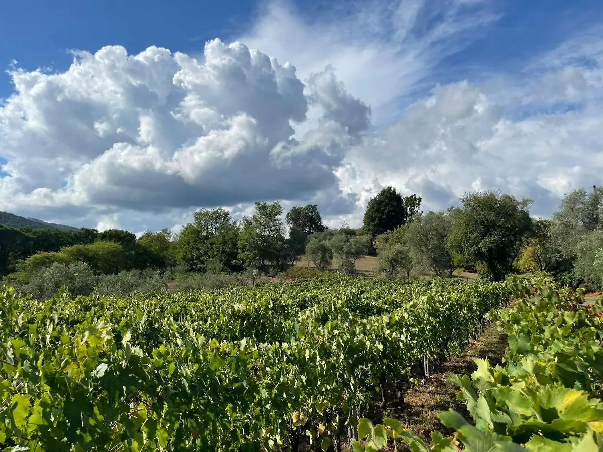 Farm stay All'Ombra Del Tiglio Villa Pistoia