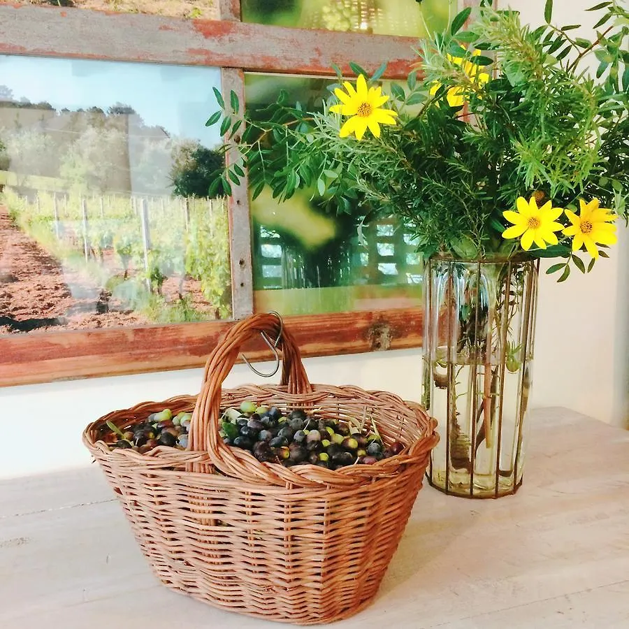 Farm stay All'Ombra Del Tiglio Villa Pistoia